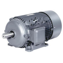 BEide 1TL0303 AL Frame Series Motor asynchrone en phase